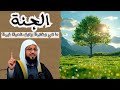 الجنة ما هي صفاتها وكيف الحياة فيها الشيخ محمد بن علي الشنقيطي