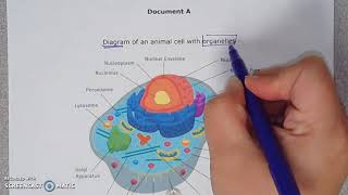 Decoding a Science Prompt (Episode 4)