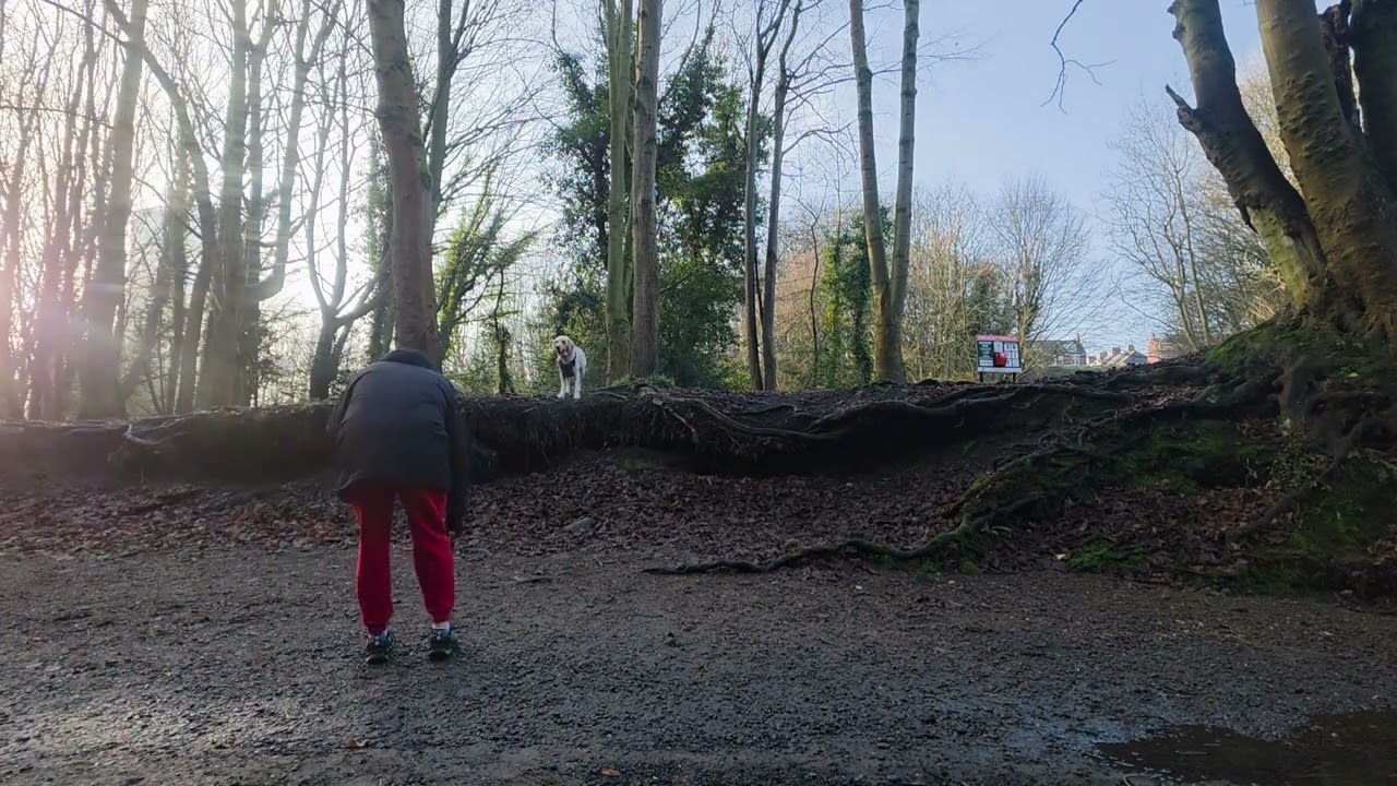 Elritmo – Jump Up Drum & Bass (169 BPM)