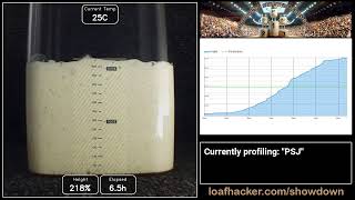 Sourdough Starter Showdown: 