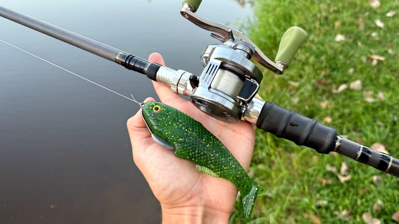 Fishing Big Swimbaits Ultra Shallow for Late Summer Bass!