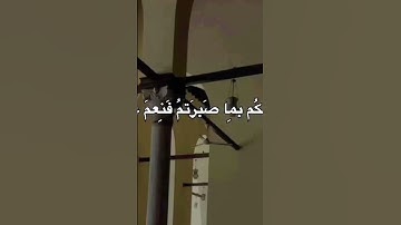 القرآن الكريم نور وهدى ورحمة للمؤمنين #القرآن_الكريم #المصحف #اللهم_صل_وسلم_على_نبينا_محمد