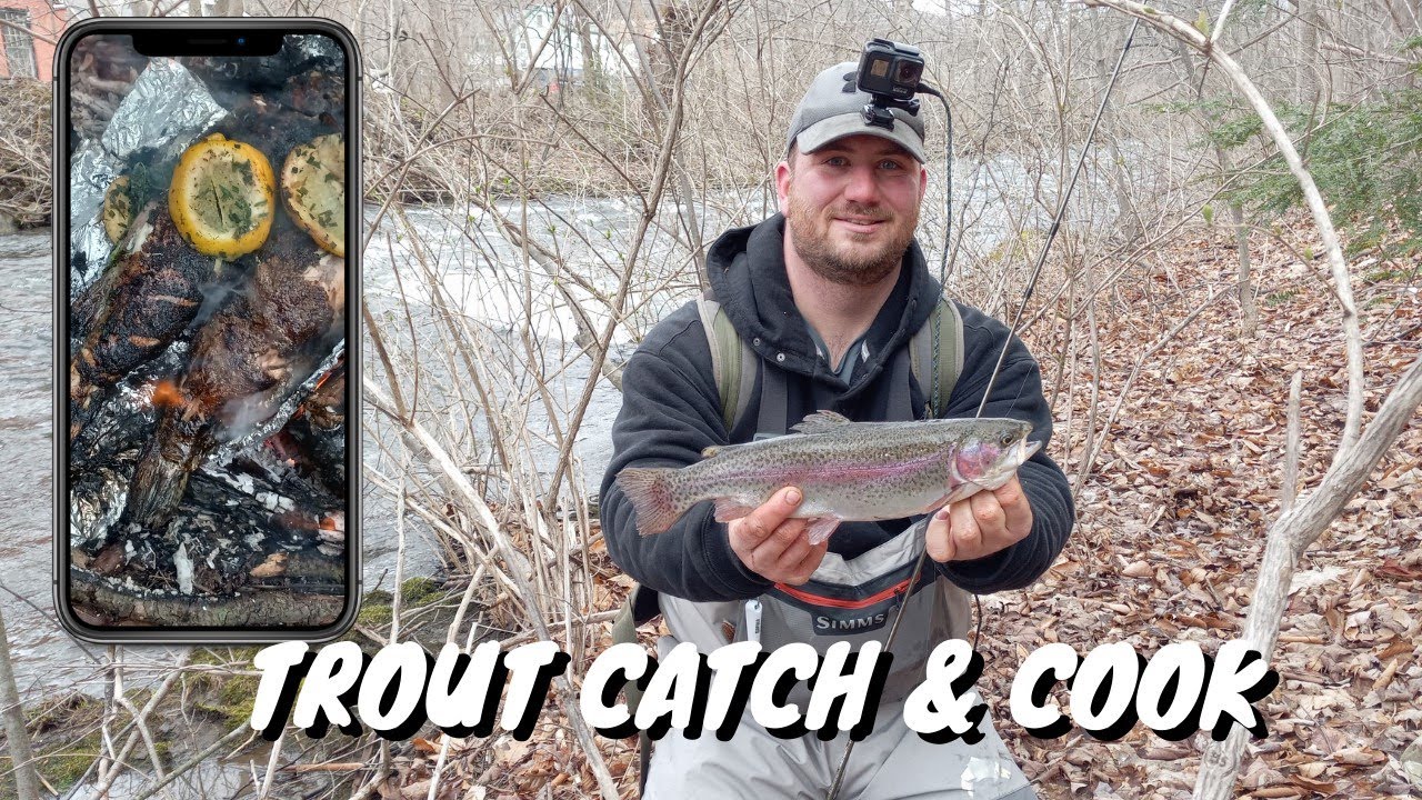 River Fishing Trout and Stealth Catch & Cook!