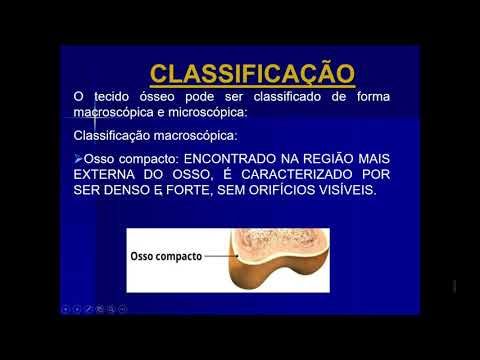 Tecido Ósseo, Enfermagem - UNIVAP 2021