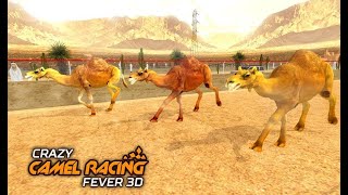 Crazy Camel Racing Fever 3D: Desert Race Simulator - Dubai Camel Race Android Gameplay #2 screenshot 1