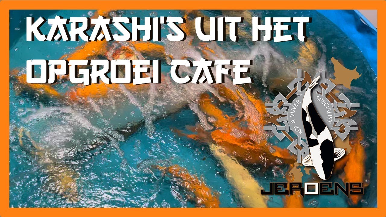 PROJECT OPGROEI CAFE VOLTOOID! 
