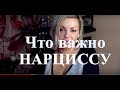 На чем оперирует НАРЦИСС - В/О