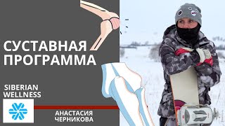 Суставная программа Сибирского Здоровья
