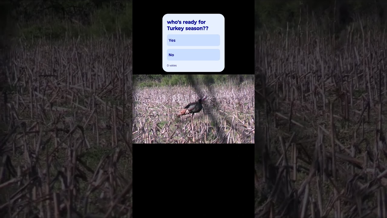 who's ready for Turkey season?