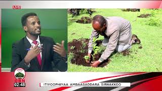 Dubbii Ijoo ; Itiyoophiyaa Ambaasaddara Sirnakkoo OBN Waxabajjii 08,2018