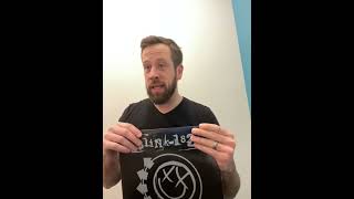 Blink-182 greatest hits vinyl- pop punk classic on wax