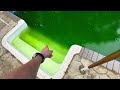 Pool Rehab - Part 2