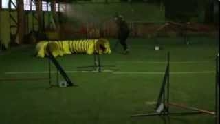 A-Koera Karika Iii Etapp Maarja & Cie - 2. Hüpperada 07.12.13