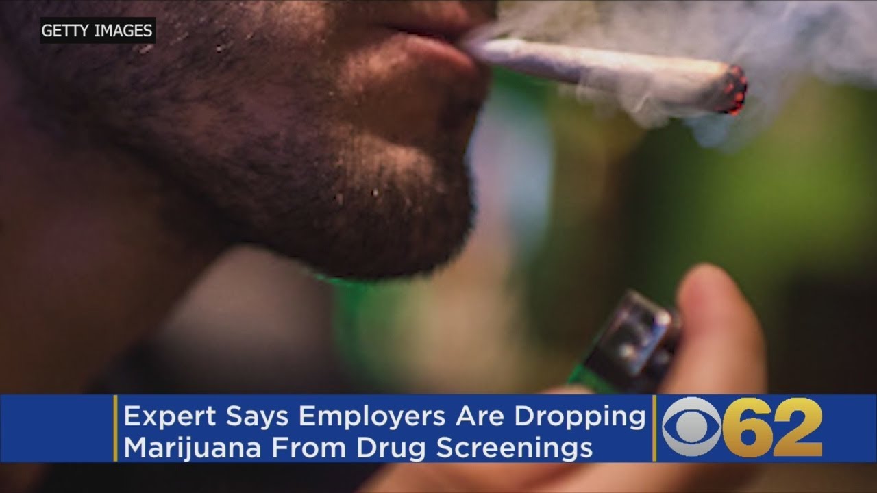 More Businesses Are Mellowing Out Over Hiring Pot Smokers YouTube