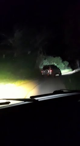 perjalanan panther malam hari