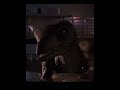 Velociraptor edit #velociraptor #jurassicpark #jurassicworld#dinosaur