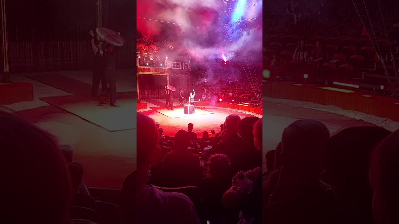 Circus barelli zaubershow 