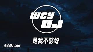DJ.Lee - 是我不够好 「爱情里面的成份有多少比例是对等」【動態歌詞/pīn yīn gē cí】【動態歌詞/Lyrics Video】 #DJ.Lee #是我不够好 #動態歌詞