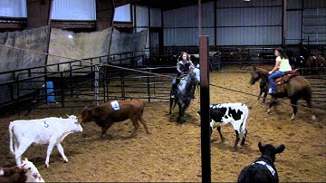 Fancy Little Slick - sorting practice - run #4 - Valley View Ranch