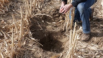 From the Field: Inline Sub-Soiler Results