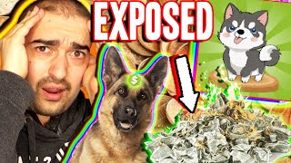 Puppy Town App Review: The Mega Series! (All Findings) screenshot 4