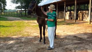Black Jack 08272015