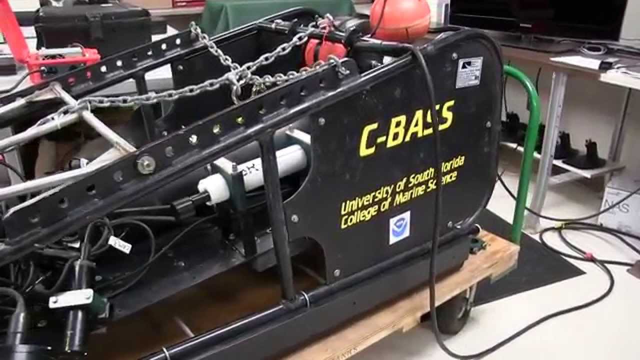 Do Underwater Cameras Scare Fish? YouTube