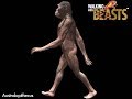 TRILOGY OF LIFE - Walking with Beasts - "Australopithecus afarensis"