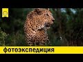 Фотоэкспедиция с Сергеем Горшковым | Африка 16+