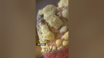 #macro #microscope #zoom #foryoupage #macrofying #science #drawing #asmr