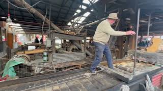 Huon Pine Sawmill, Strahan…Tasmania