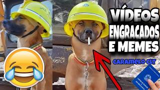 Tente Não Rir Impossível - Os Melhores Memes E Vídeos Engraçados 2026