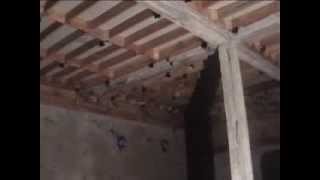 Cambodia Swiftlet Farm CSF