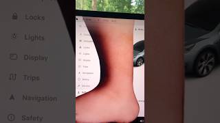 Famous Tesla Monty Python Easter Egg #tesla Net Worth