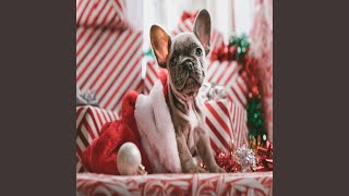 Christmas 2021 - O Come All Ye Faithful Christmas 2021 - O Come All Ye Faithful