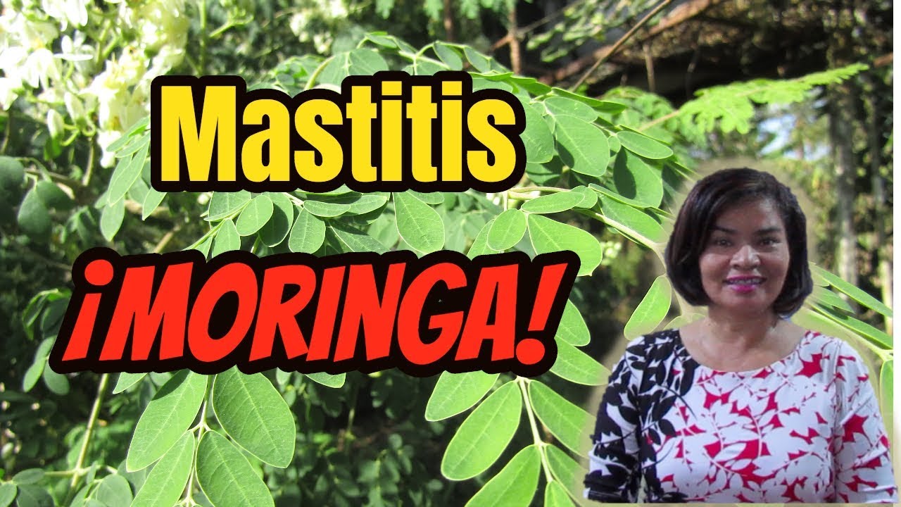 moringa side effects ¿Inflamación en los senos? Moringa!
