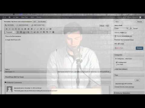Organize Content Creation on WordPress with Plugins - SEO Lunch