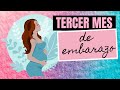 El tercer mes de embarazo | Signos y Síntomas | Desarrollo de tu bebé | Tú Bebé