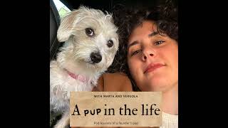 Becoming football owners a visit to NK Tabor Sezana - A Pup In The Life ep 206