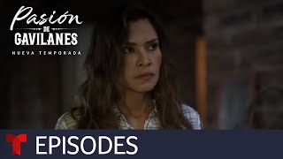 Pasión de Gavilanes, New Season | Episode 45 | Telemundo English screenshot 5