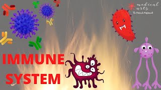 Immune System Animation - Specific And Non-Specific Immune Response