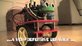 My First Robot