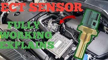 Engine coolant temperature sensor [ECT] Working symptoms |P0115|P0116|P0117|P0118P0119 |