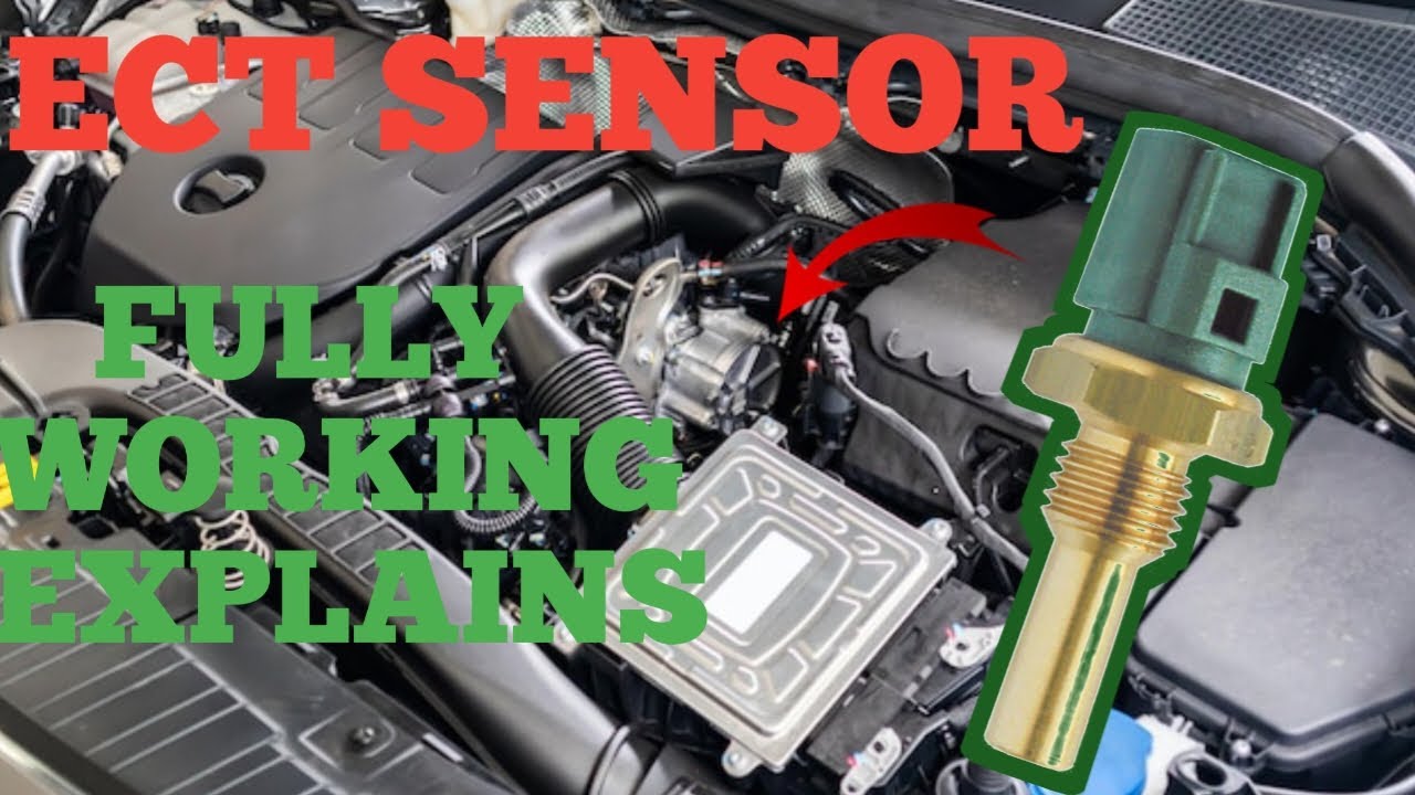 Engine coolant temperature sensor [ECT] Working symptoms |P0115|P0116 ...