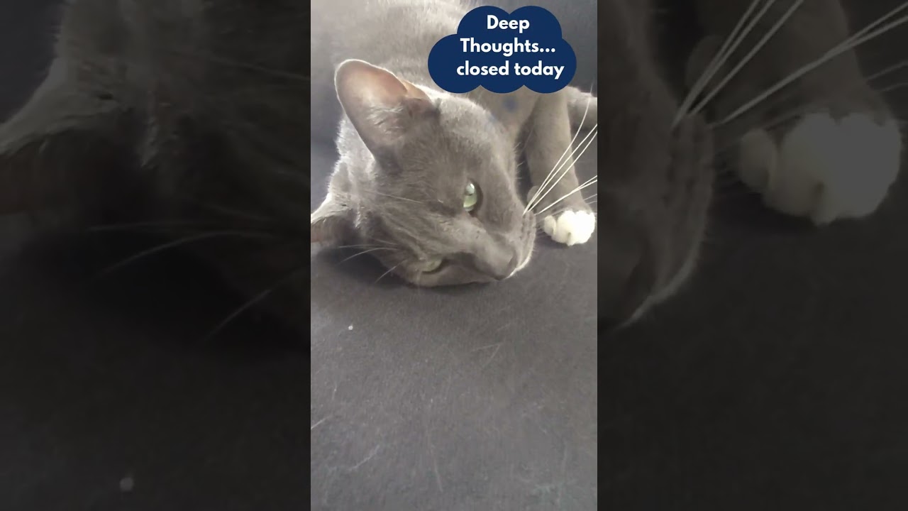 Deep Thoughts with Leo… in Mexico.