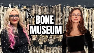 Download Lagu A Museum of Human Bones MP3