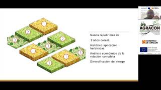 Ponencia nº11 - Diseño hojas de rotación de cultivos