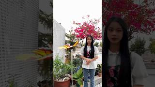 3D holographic flower butterfly.3D hologram fan solo  solution. #3dhologram #3dhologramfan