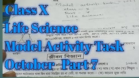 Class X // Life Science // Model Activity Task // October // Part 7