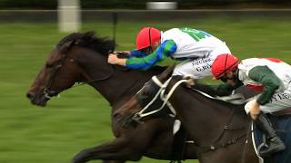 Gr.3 Trelawney Stud Championship Stakes - Solid Gold